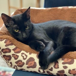 Meet your Posher, Marie